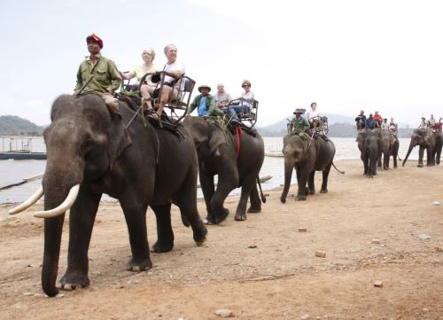 Elephant riding tour